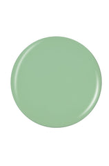 Pastel color of circle  shape sample  swatch drop isolated in white background
